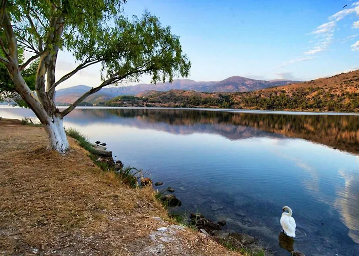 Chrysianna Seaview *