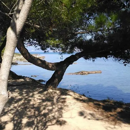 Chrysianna Seaview شقة أرغوستولي